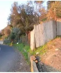 Vendita Agricolo in via IV Novembre