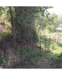 Vendita Agricolo in Via Marmolito