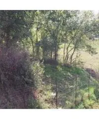 Vendita Agricolo in Via Marmolito