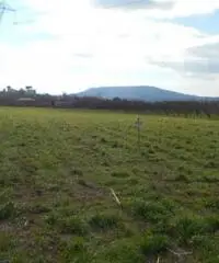 Vendita Agricolo in Via Cesapepere Vendita Agricolo in Via Cesapepere