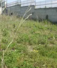 Vendita Agricolo in Via Pantaleo