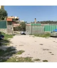 in affitto Professionale terreno non edificabile mq 500 Euro 400 in affitto Professionale terreno non edificabile mq 500 Euro 400