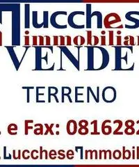 Professionale terreno edificabile mq 10000 Euro 200.000