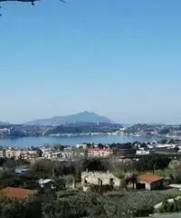 Vendita Immobile da 450mq