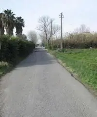 Lido Di Licola: Vendita Agricolo in Via Domitiana