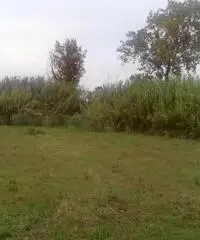 Vendita Agricolo da 3300mq