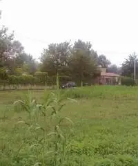 Vendita Agricolo da 3300mq