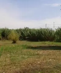 Vendita Agricolo da 3300mq