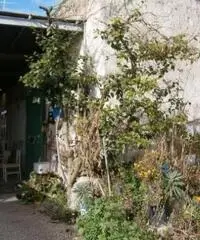 Vendita Immobile in Via Celle