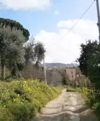 Vendita Immobile in Via Celle