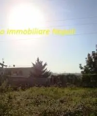 Arco Felice: Vendita Agricolo in Strada Provinciale Arco Felice Vecchio