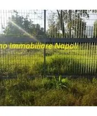 Arco Felice: Vendita Agricolo in Strada Provinciale Arco Felice Vecchio