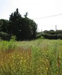 Monterusciello: Vendita Agricolo in Via Giuseppe Parini