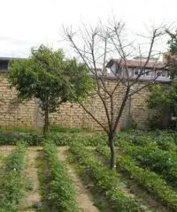 RifITI 027-465 - Terreno Agricolo in Vendita a Sant'Antimo di 850 mq