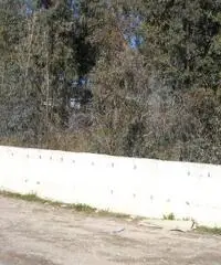 RifITI 027-430 - Terreno  Residenziale in Vendita a Sant'Antimo di 1320 mq