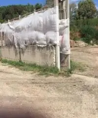 Vendita Edificabile industriale in Via Dante Alighieri