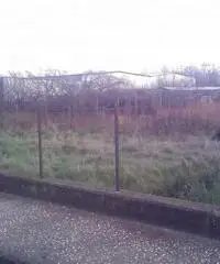 Guadagni: Vendita Agricolo in Via Aurora