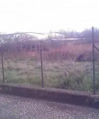 Guadagni: Vendita Agricolo in Via Aurora