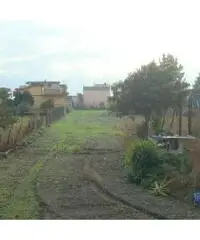 vendesi terreno con rudere