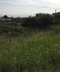 Affitto Agricolo in Via Sacerdote Cozzolino Benedetto, 0