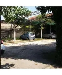 Vendita Agricolo in Via IV Orologi