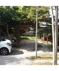 Vendita Agricolo in Via IV Orologi