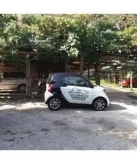 Vendita Agricolo in Via IV Orologi