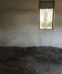 Romani: Vendita Immobile da 8000mq