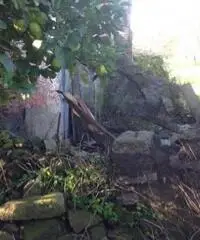 Vendita Edificabile residenziale da 900mq