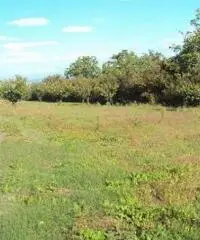 Vendita Agricolo in Via Marra