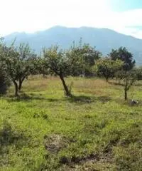 Vendita Agricolo in Via Marra