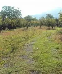 Vendita Agricolo in Via Marra