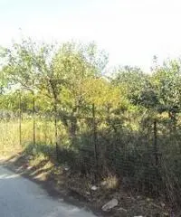 Vendita Agricolo in Via Marra