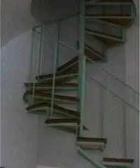 Vendita Trilocale in SS145