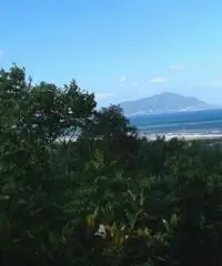 Vendita Multilocale in strada provinciale Scalandrone