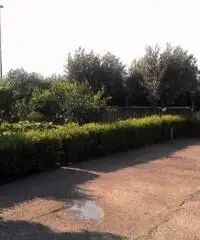 Vendita Agricolo in Via Lava Troia