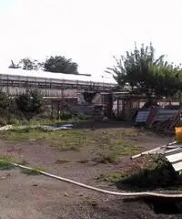 Vendita Agricolo in Via Lava Troia