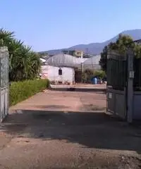 Vendita Agricolo in Via Lava Troia