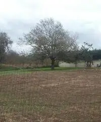 RifITI 019-21566 - Terreno Agricolo in Vendita a Marano di Napoli di 1200 mq