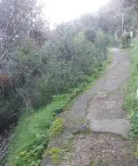 Vendita Agricolo in Via Veterino