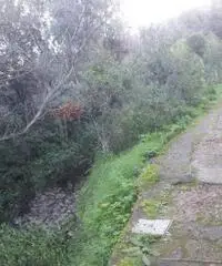 Vendita Agricolo in Via Veterino