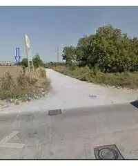 Vendita Agricolo in Via delle Magnolie Vendita Agricolo in Via delle Magnolie