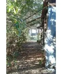 Vendita Agricolo in Via Inferno, 00