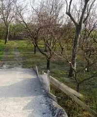 Vendita Agricolo in Via Sant'Agnello