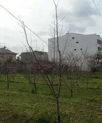 RifITI 019-22311 - Terreno Industriale in Vendita a Villaricca di 2000 mq