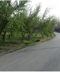 Vendita Agricolo in Via dei Pizzariello