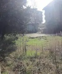 Vendita Edificabile commerciale in Viale dei Fiori 5