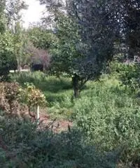 Vendita Edificabile residenziale da 660mq