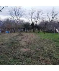 Vendita Agricolo in Via Caserta