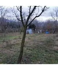 Vendita Agricolo in Via Caserta